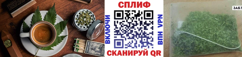 цена   Карачев  Canna-Cookies конопля 