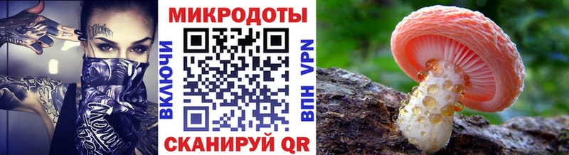 Галлюциногенные грибы прущие грибы  Карачев 