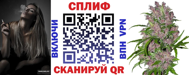 Конопля Amnesia  как найти наркотики  Карачев 